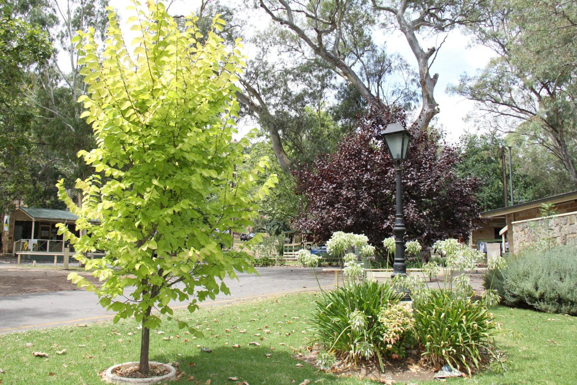 Adelaide Brownhill Creek Tourist Park 호텔 외부 사진