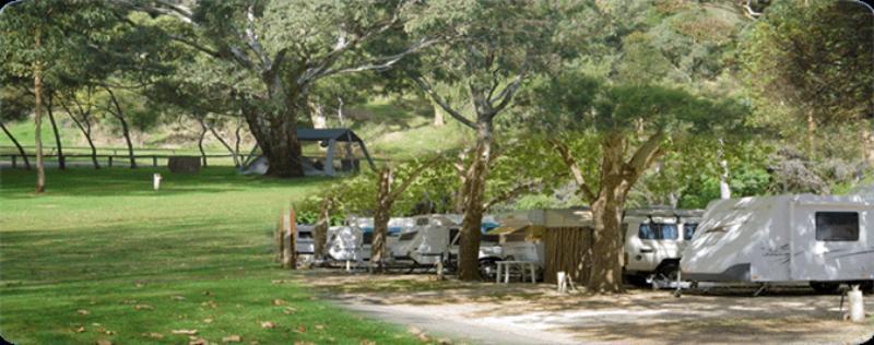 Adelaide Brownhill Creek Tourist Park 호텔 외부 사진